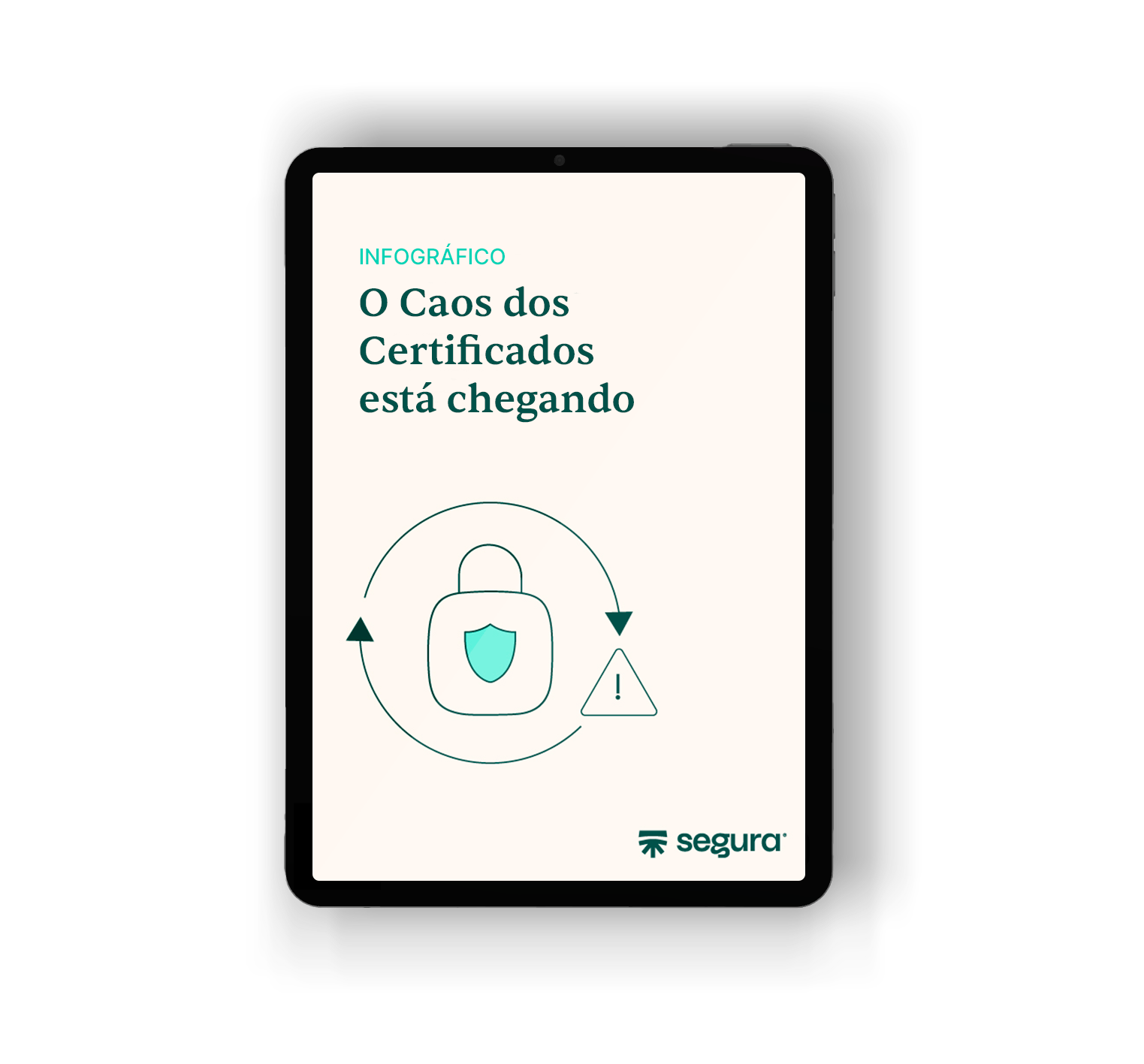 material rico infográfico mockup